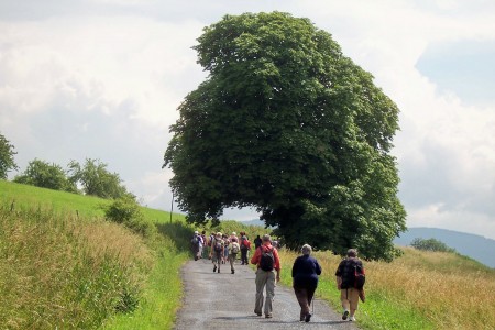 Na Žábu a na buřta